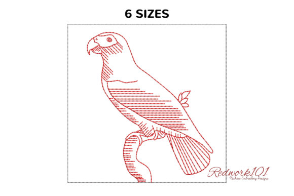 African Grey Parrot Design: A Designer’s Honest Review